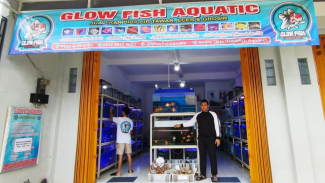Glow Fish Aquatic, Surga Baru Pecinta Ikan Hias Air Tawar di Kota Batu