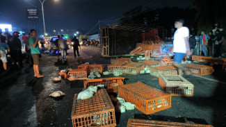 Bus Mira Tabrak Truk dan Pickup di Jombang, Dua Orang Tewas