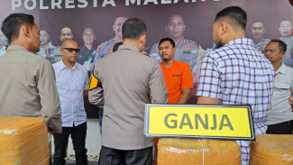 42 Kg Ganja Terungkap Usai MAS Dibuntuti Sepanjang Sumatera Hingga Jawa