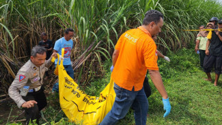 Pencari Rumput di Jombang Temukan Mayat Dalam Kebun Tebu