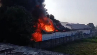 Pabrik Tas Rajut Kaboki Pasuruan Terbakar Hebat, Pembakar Ditangkap Polisi
