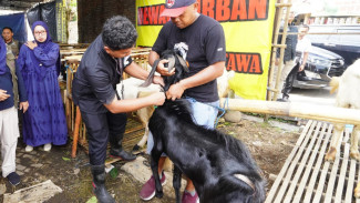 PMK Mereda, Masjid di Kota Batu Boleh Gelar Penyembelihan Kurban