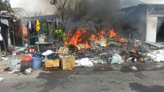 Anjing Mati Terbakar saat Si Jago Merah Ludeskan Tempat Rongsokan di Blimbing Malang
