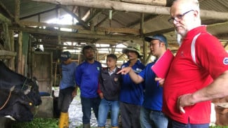 Dairy4Development Proyek Peningkatan Produksi Susu Lokal Berkualitas Tinggi Rampung