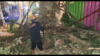 Angka Bencana Tinggi, Pemkot Batu Usulkan Anggaran BTT Sebesar Rp 23,4 Miliar