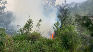 Kebakaran Hutan di Bukit Penanjakan Berhasil Dipadamkan