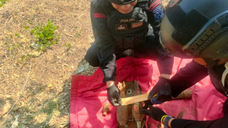 Dua Pekerja Proyek di Pasuruan Temukan Mortir dan Ranjau Darat