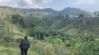 Pesona Wisata Tersimpan Di Desa Kayu Kebek Pasuruan