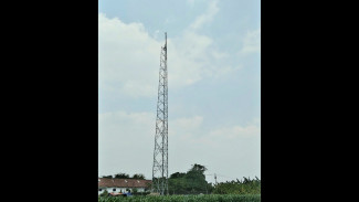 Photo Mini 2