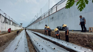Jaga Ketahanan Pangan di Lapas Malang Lewat Tanaman dan Benih Ikan di Lahan Sempit