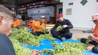 Panen Kedelai Edamame Jadi Bukti Ketahanan Pangan di Lapas Kelas I Malang