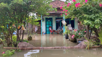 Intensitas Hujan Tinggi, Banjir Landa Sejumlah Desa di Jombang