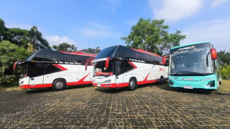 PO Bus Di Malang Pakai Sasis Mercedes-Benz OH 1626 L Untuk Layani Mobilitas Jawa-Bali