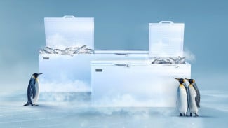 Marak Usaha Frozen FoodMODENA Tawarkan Chest Freezer Terbaru Sebagai Solusi Andal