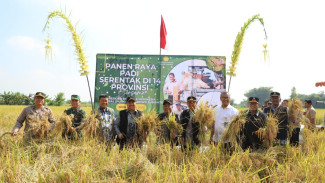 Bupati Jombang Ikuti Panen Raya Serentak di 14 Provinsi Bersama Presiden