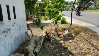 Warga Jombang Keluhkan Jalan di Desa Grogol Gelap Gulita