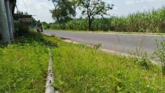 Warga Jombang Keluhkan PJU, Komisi C DPRD Minta Segera Dipasang