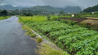 Koperasi SAE, Harapan Pemkot Batu Sejahterakan Petani