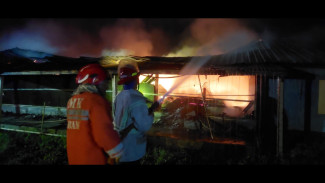 Kandang Ayam di Jombang Ludes Dilalap di Jago Merah Api