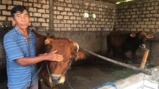Dana Hibah Rp4,5 Miliar untuk 64 Kelompok Ternak di Jombang Cair