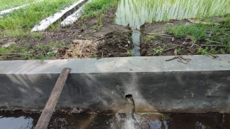 Baru Sebulan, Proyek Drainase Rp300 Juta di Desa Plosogenuk Jombang Diduga Bermasalah