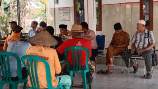 Petani Gagal Panen Akibat Hama Tikus Serang Tanaman Jagung di Jombang