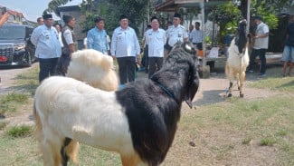 Pastikan Kesehatan Hewan Kurban, Lapak Penjual hingga Sapi Presiden Dicek Bupati Jombang