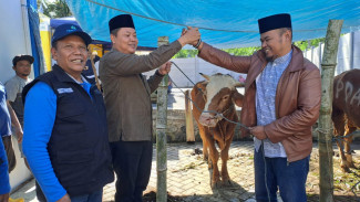 Rangkaian HUT, Perumda Tirta Kanjuruhan Serahkan Sapi Kurban di 2 Kecamatan