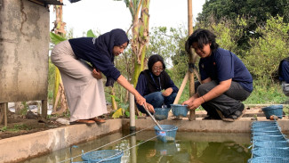 Mahasiswa UB Kenalkan Pertanian Aquaponik Manfaatkan Kolam Lele Warga
