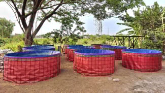 Mayora Group dan Polres Pasuruan Kolaborasi Ketahanan Pangan Melalui Budidaya Lele dan Jagung