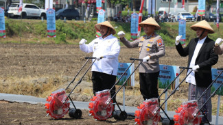 Penanaman Jagung Serentak se-Jawa Timur Dipusatkan di Pesantren Tebuireng Jombang