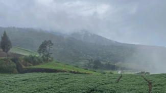 Bumi Khayangan Trail Run 2025: Sensasi Lari Menembus Keindahan Brakseng