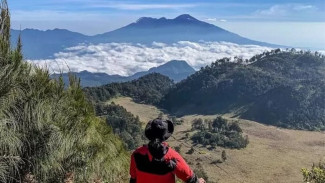 Pendaki Asal Sidoarjo Hilang Misterius di Gunung Buthak, Pencarian Masih Nihil