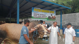 Jumlah Peternak Sapi di Jombang Terus Menurun, Pemkab Siapkan Program Wirausaha Ternak