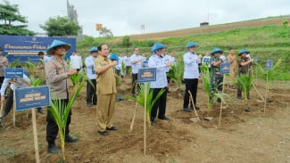 3 Ribu Lebih Bibit Pohon Kelapa Ditanam di SAE LSIMA Ngajum