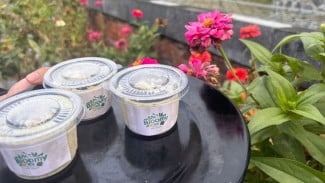 Para Santriwati di Malang Punya Cara Cegah Stunting Dengan Es Krim Daun Kelor