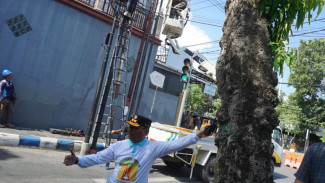 Satpol PP Jombang Kembali Tertibkan Kabel FO Semrawut, Cegah Kecelakaan Lalu Lintas
