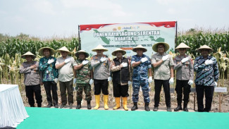 Panen Raya Jagung Serentak 2025, Bupati Jombang : Dorong Ketahanan Pangan dan Kesejahteraan Petani