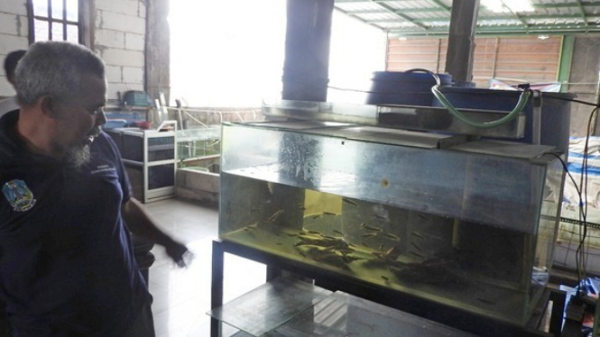 Warga Kedungkandang Kota Malang Siapkan Pasar Ikan Ahad Pagi