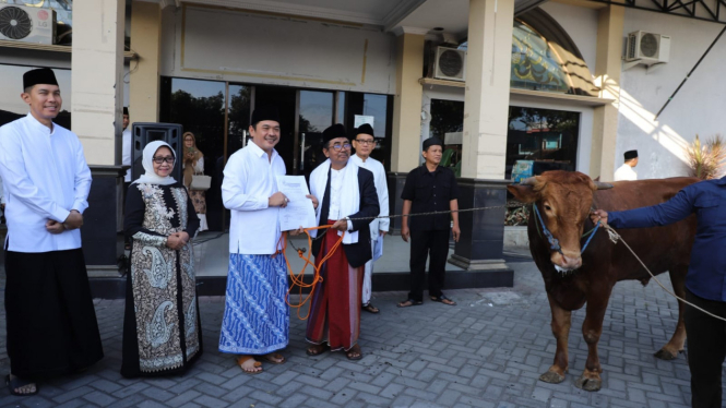 Bupati Jombang menyerahkan hewan kurban