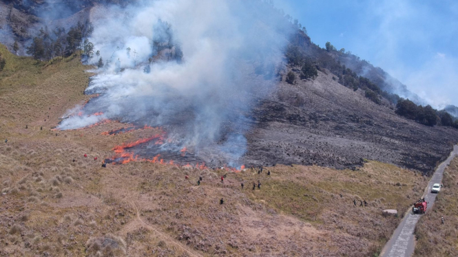 Kebakaran di Padang Savana, Gunung Bromo.