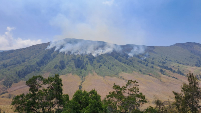 Kebakaran Gunung Bromo di Blok Watangan