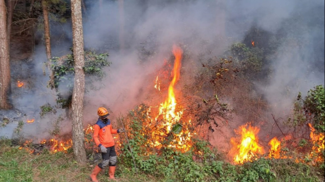 Pemadaman Karhutla di lereng Gunung Arjuno.