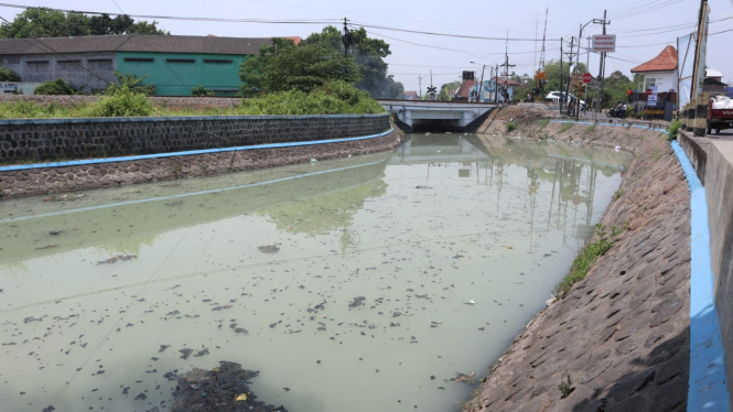 Sungai Rejoso berubah warna diduga tercemar limbah pabrik tahu