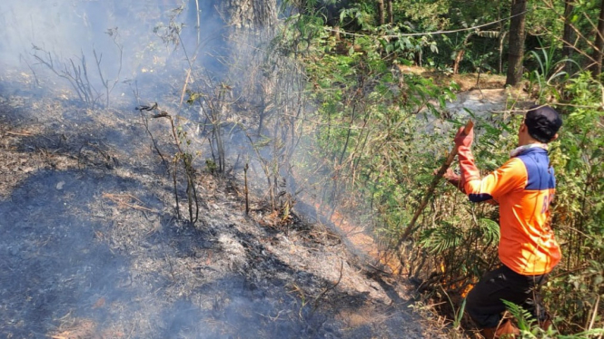 Karhutla yang terjadi di Kota Batu.