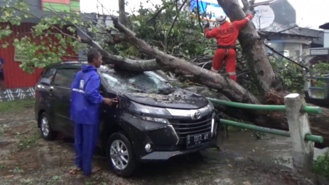 Pohon tumbang timpa mobil di Jombang.