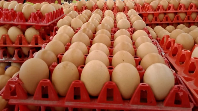 Harga telur ayam ras di Kota Malang naik.