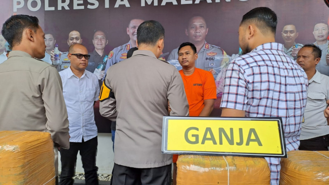 MAS ditangkap Polresta Malang Kota karena jadi kurir 42 Kg Ganja