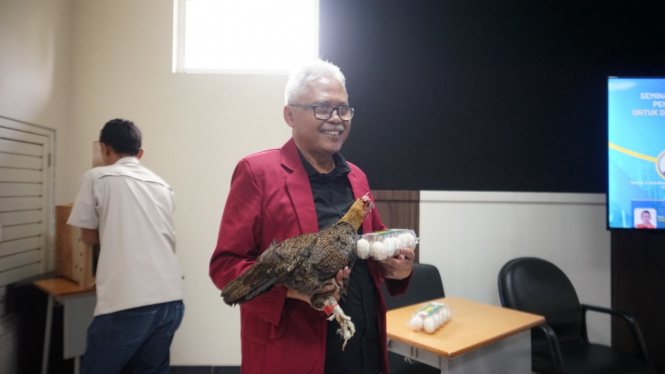 Dosen Peternakan UMM Suyatno ciptakan jenis ayam kampung petelur baru