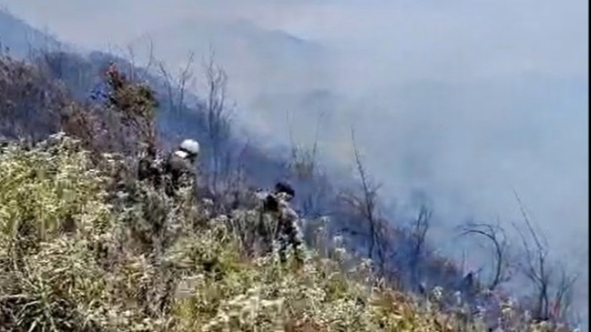 Kebakaran di Gunung Bromo